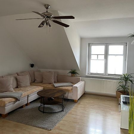 Bambus, Jungle, Dachterrasse & Bequem Bis Zentrum Radebeul Extérieur photo