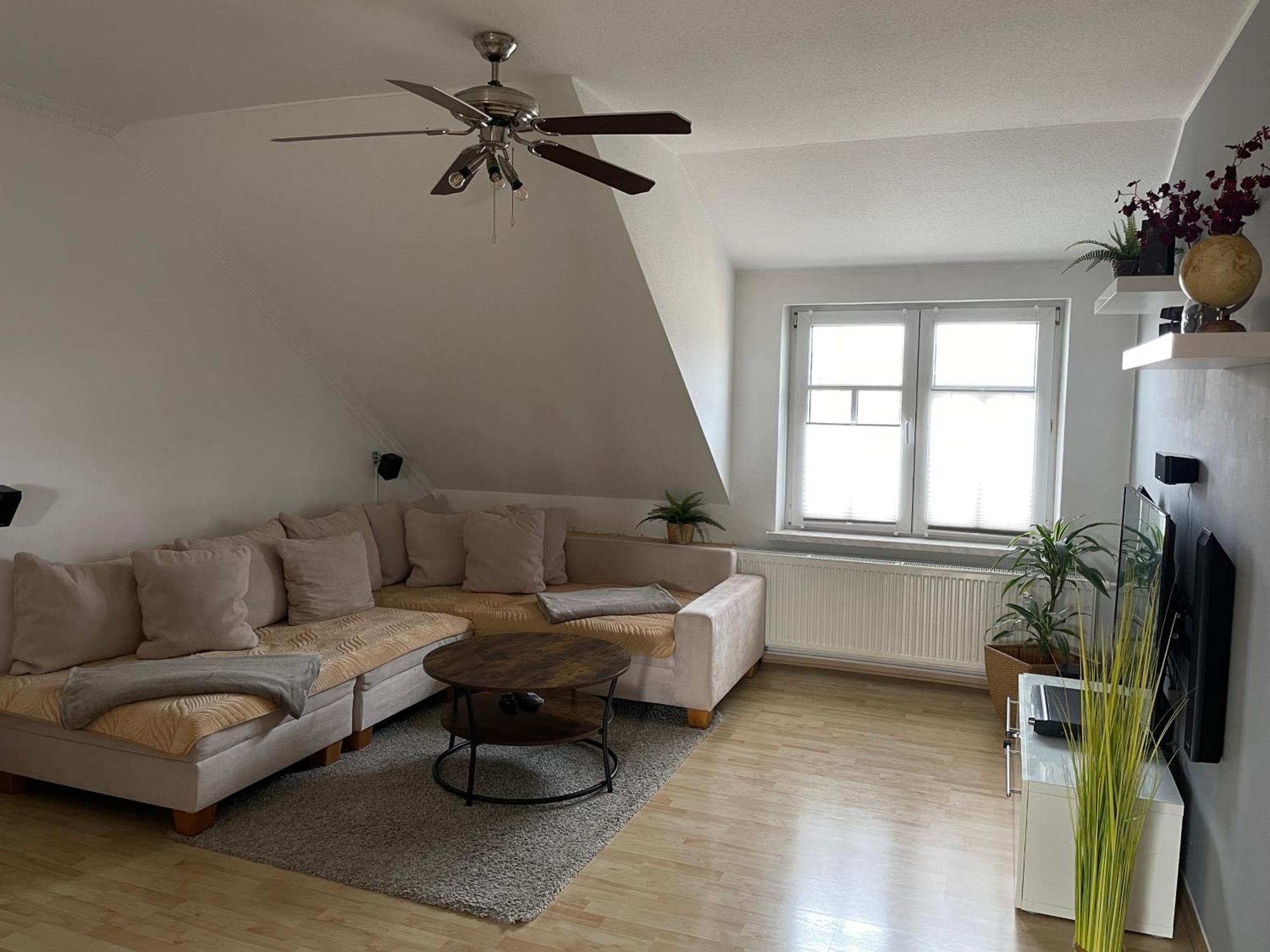 Bambus, Jungle, Dachterrasse & Bequem Bis Zentrum Radebeul Extérieur photo